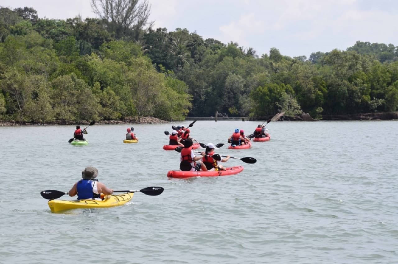 Kayaking at Ketam Island - تصویر 15