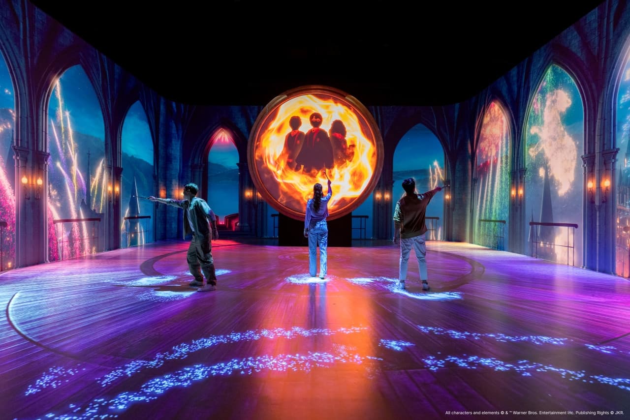 Harry Potter: Visions of Magic - تصویر 7