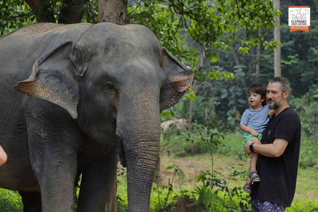 Elephant Jungle Sanctuary Koh Samui - تصویر 8