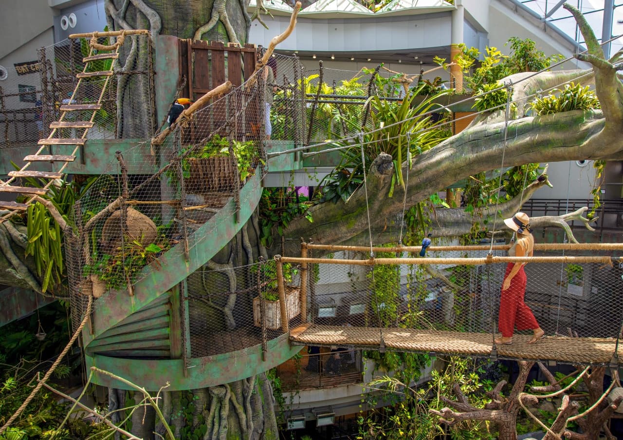 The Green Planet Dubai Ticket - تصویر 6