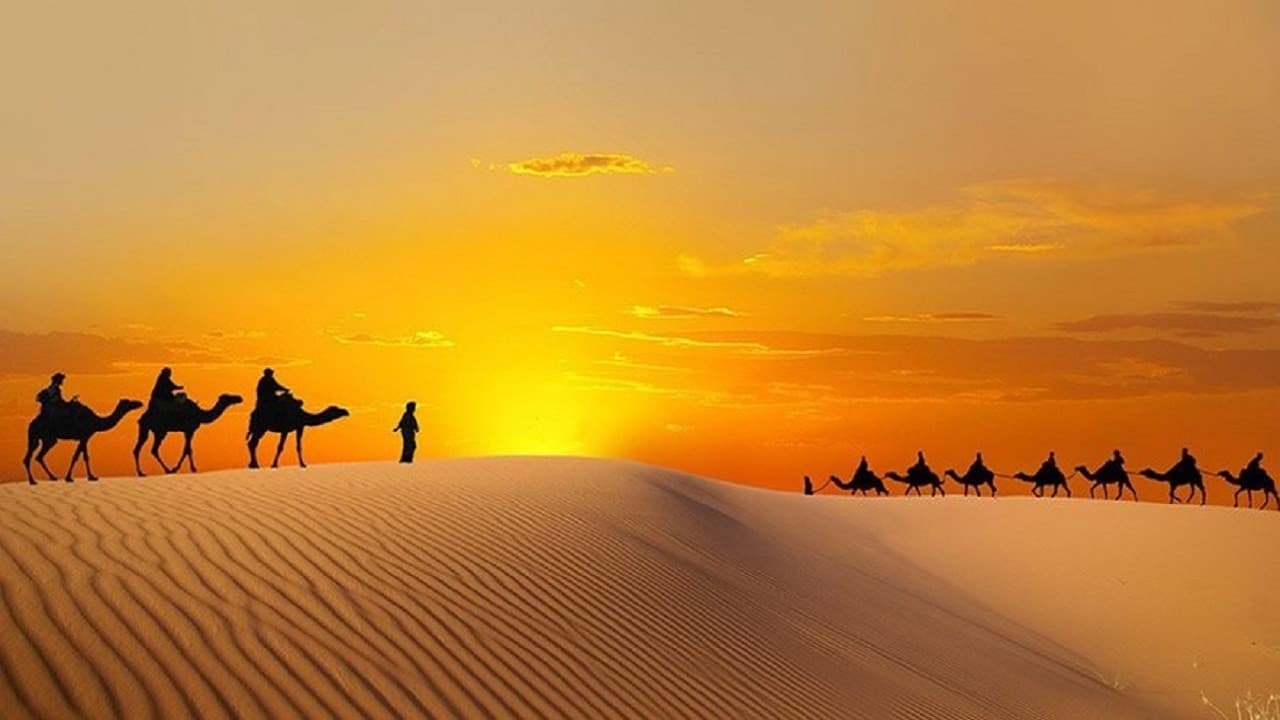 Liwa Desert Safari Tour - تصویر 2