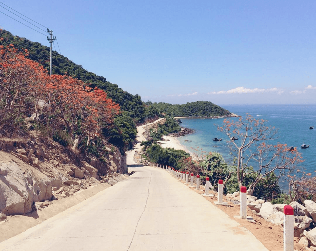 Cham Island Tour from Da Nang - تصویر 2