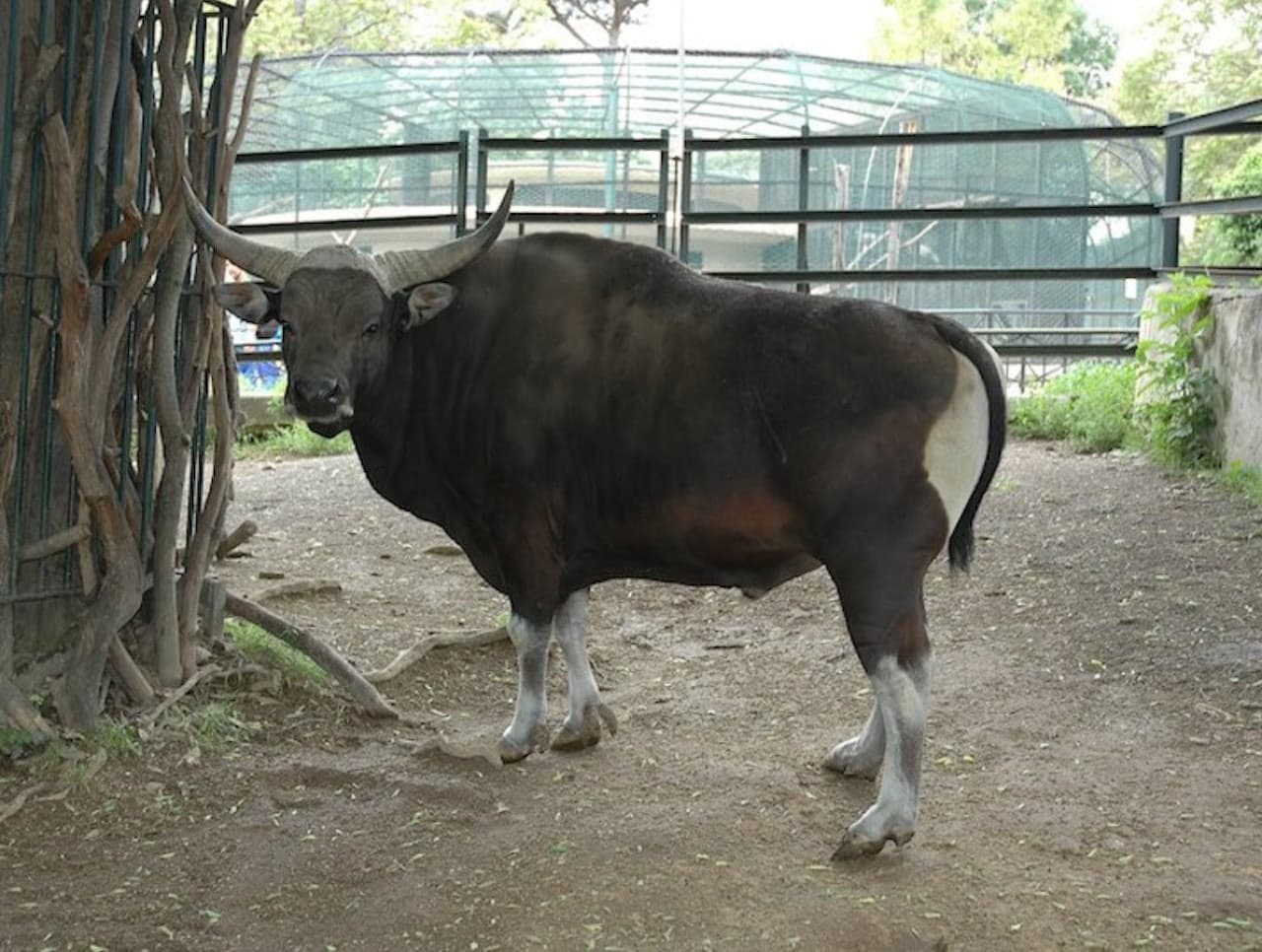 Bioparco: The Zoo of Rome - تصویر 7