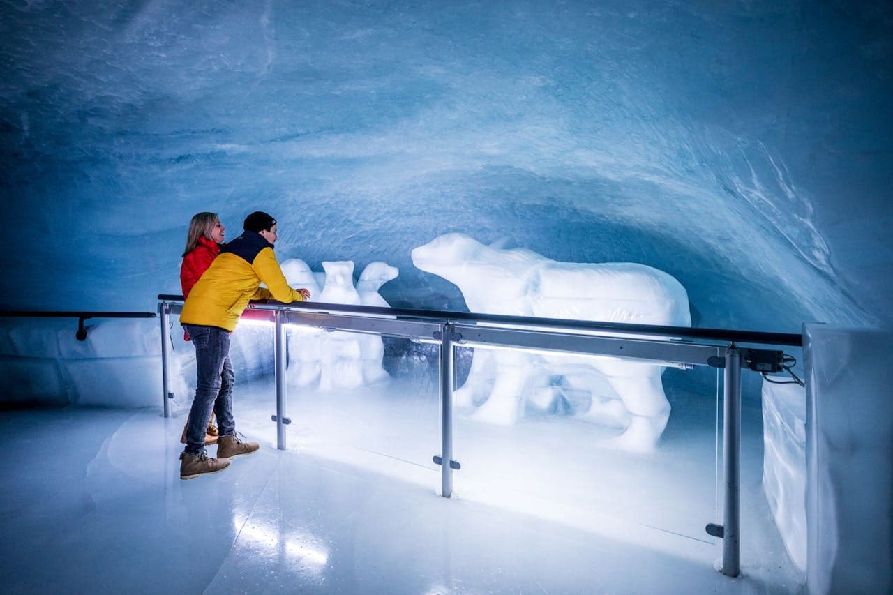 Jungfraujoch: Roundtrip Train from Grindelwald - تصویر 3