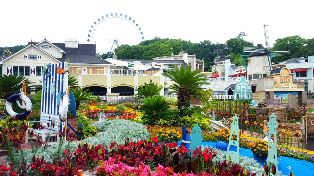 Everland Theme Park Ticket - تصویر 14