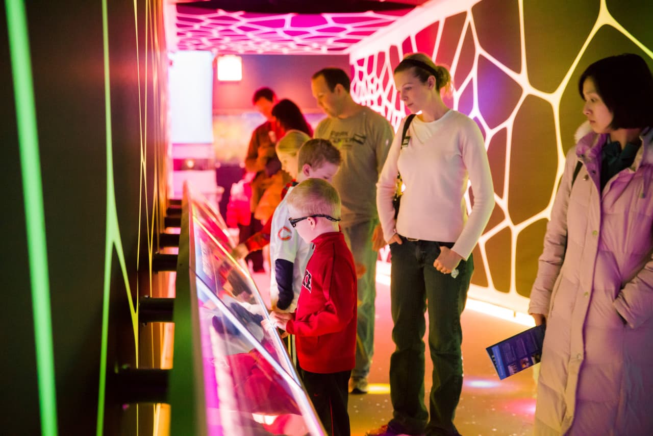 Go City Chicago Essentials Pass: 3 Attractions - تصویر 10