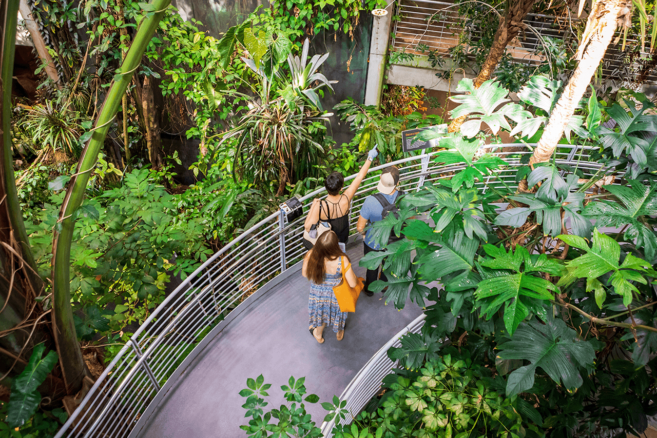 California Academy of Sciences Ticket - تصویر 3