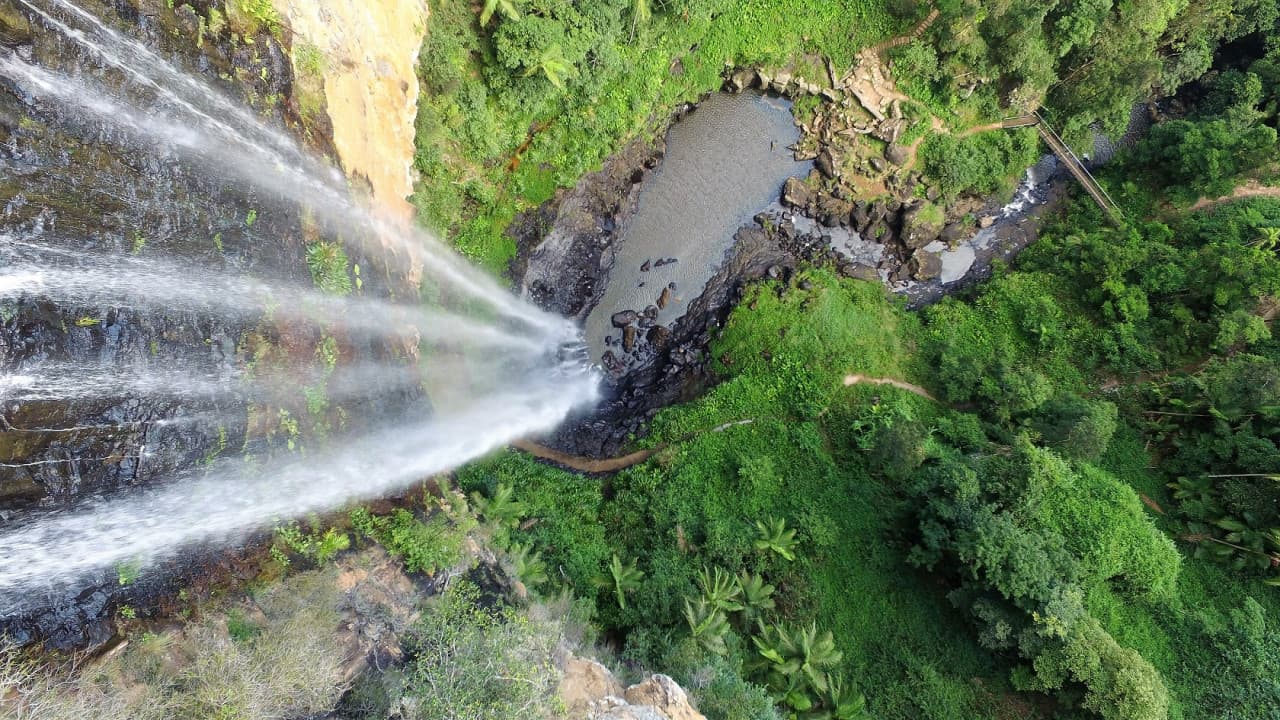 Springbrook National Park Tour: Natural Bridge and Waterfalls - تصویر 8