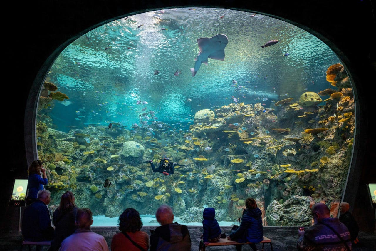 Seattle Aquarium Ticket - تصویر اصلی