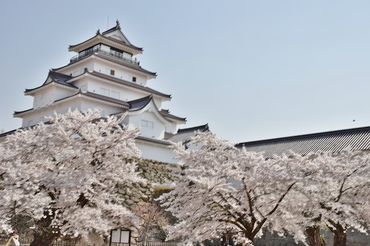 Tsurugajo Castle (Aizu-Wakamatsu Castle) Ticket - تصویر اصلی