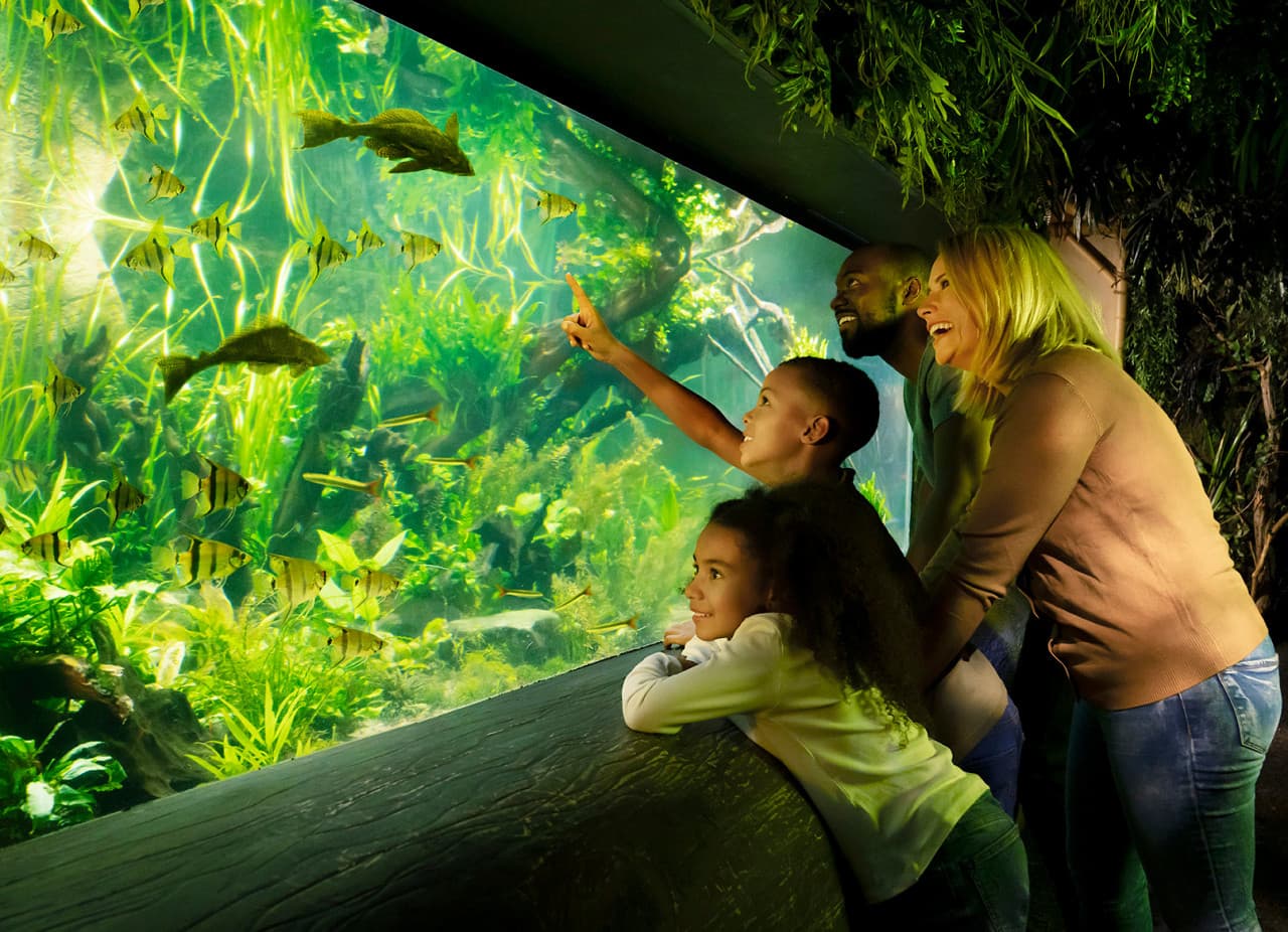 SEA LIFE London Aquarium Ticket - تصویر 5
