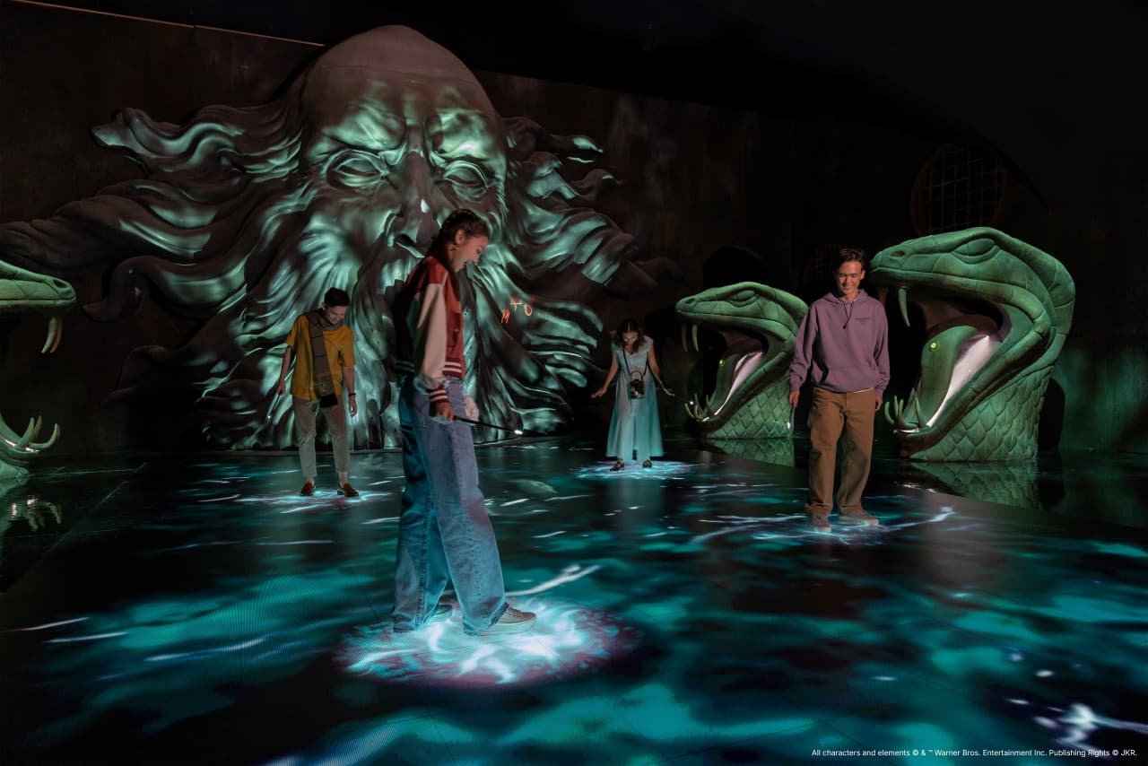 Harry Potter: Visions of Magic - تصویر 3