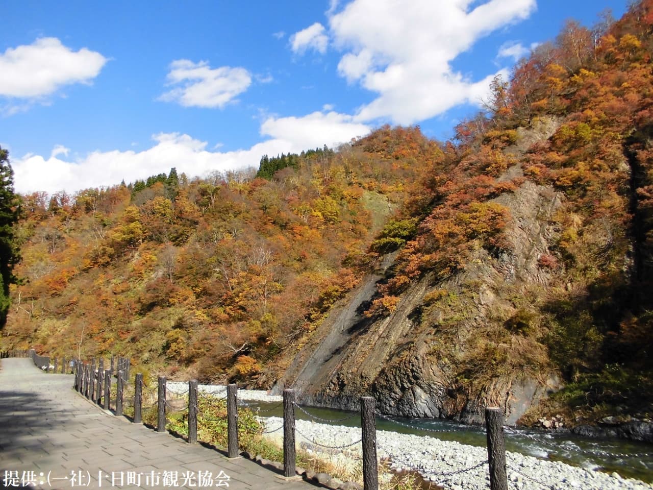 Kiyotsukyo Gorge Tunnel Ticket - تصویر 3