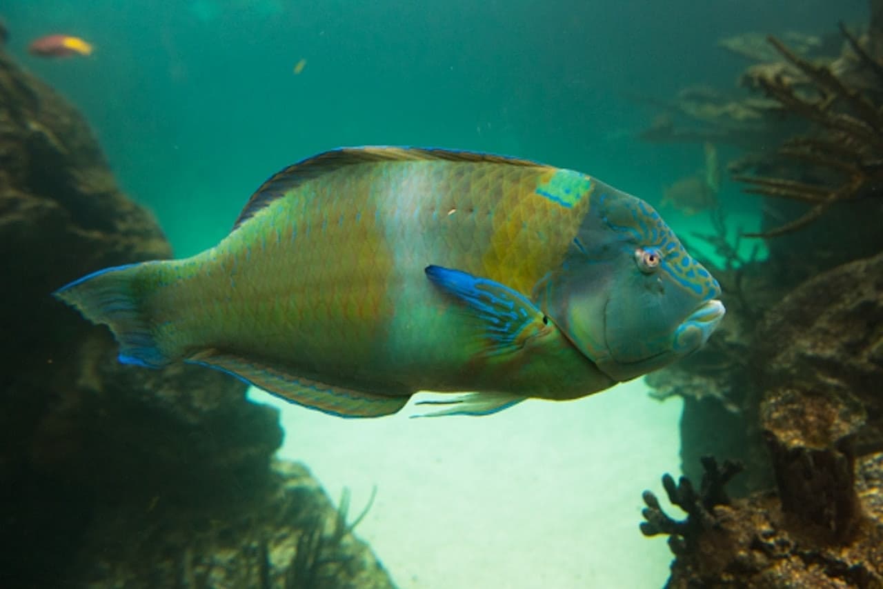New York Aquarium - تصویر 3