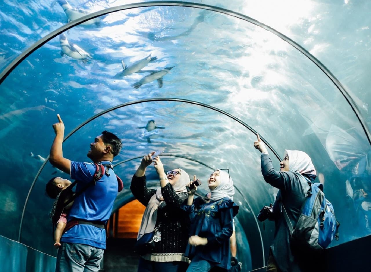 Underwater World Langkawi Ticket - تصویر 3