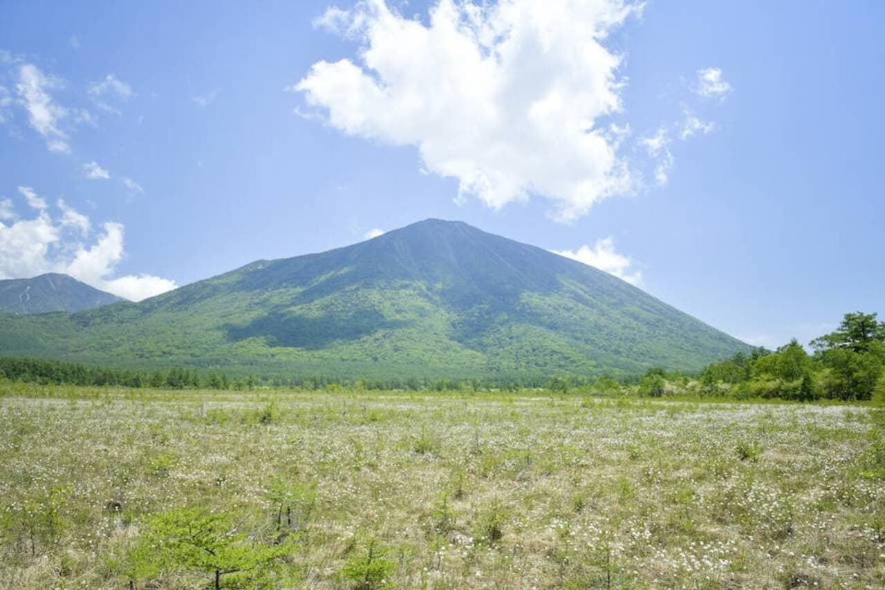 Nikko Pass All Area - تصویر 5