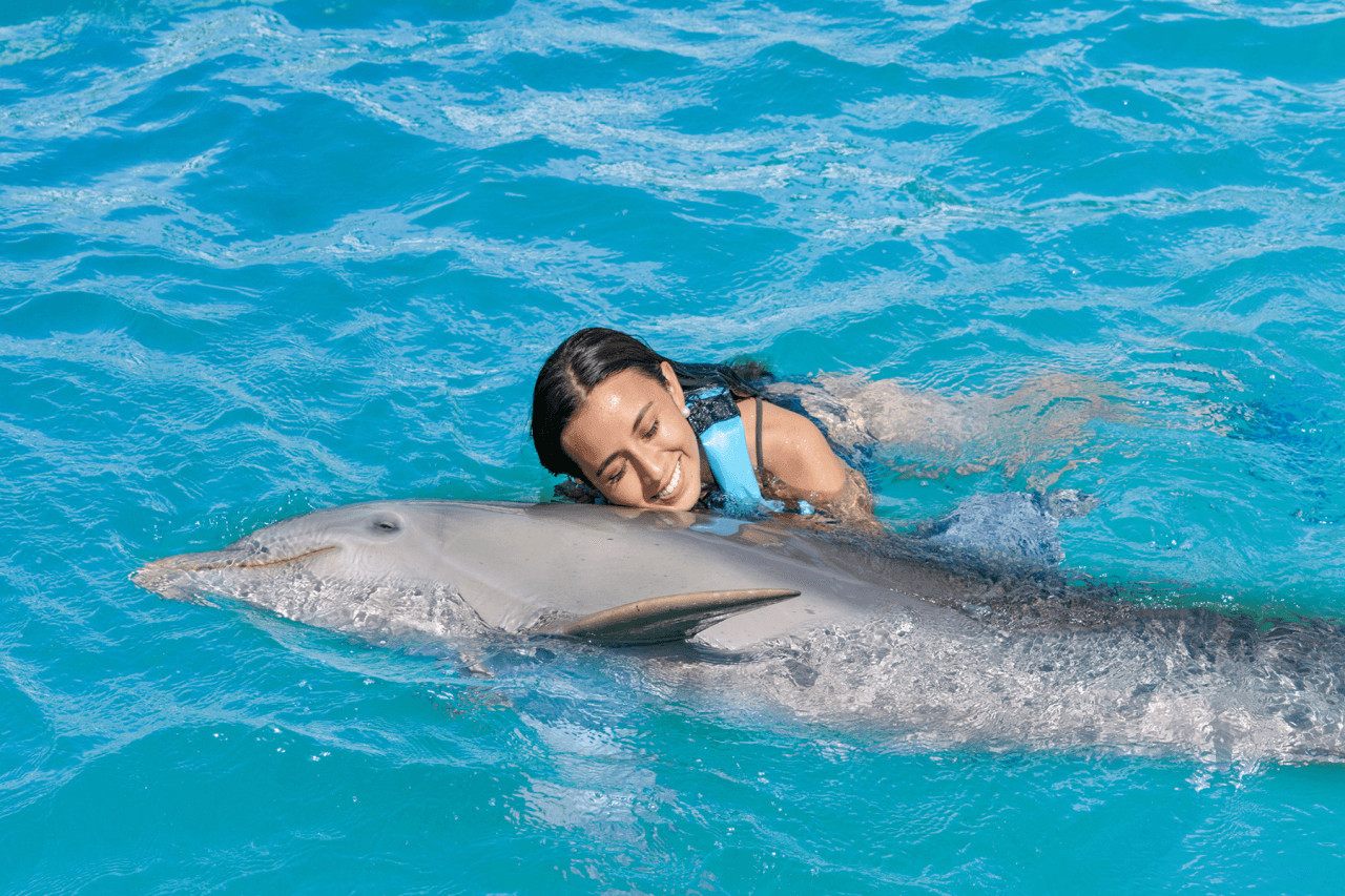 Go City Cancun Essentials Pass: 3 Attractions - تصویر 7