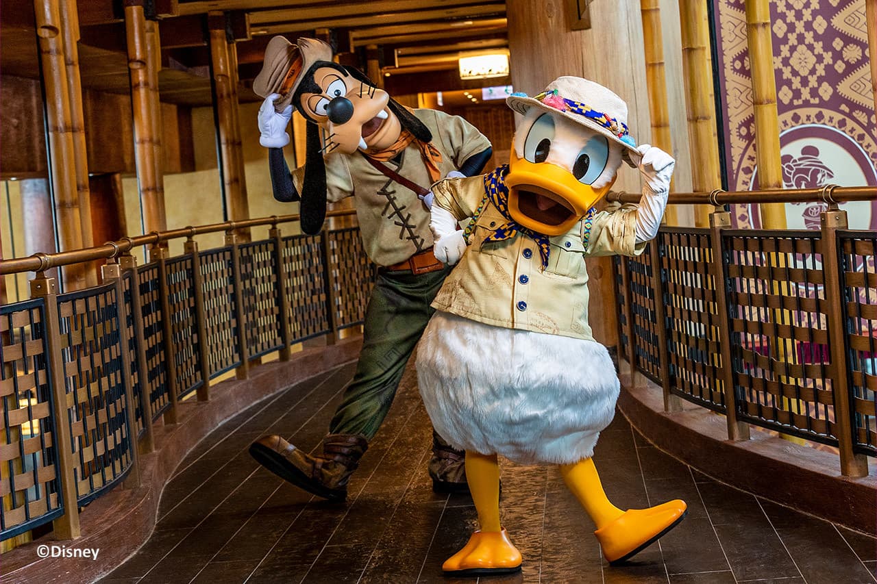 Hong Kong Disneyland Disney Premier Access Ticket - تصویر 48