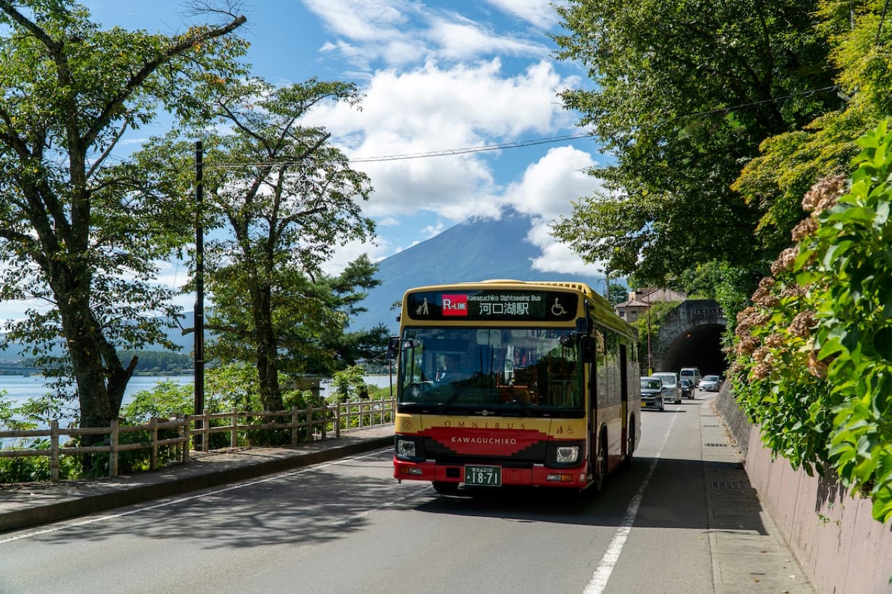 Fuji Hakone Pass - تصویر 5