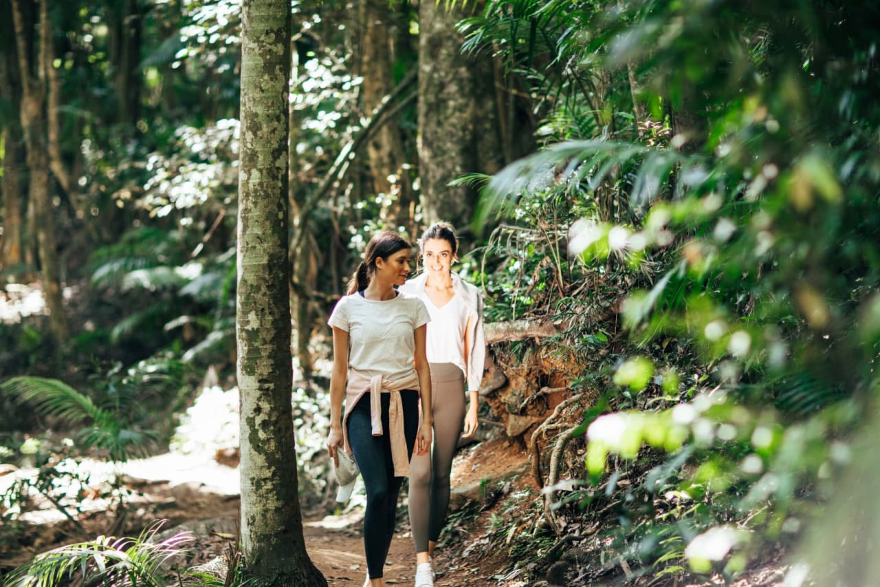 Tamborine Mountain Guided Walk and Wine Tasting Tour - تصویر اصلی
