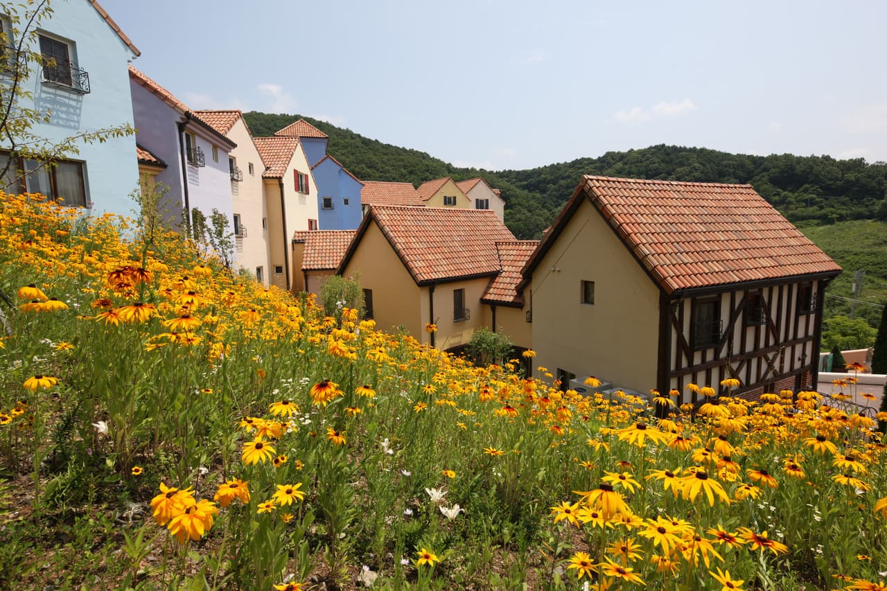 Nami Island, Petite France, and Italian Village Tour from Seoul - تصویر 5