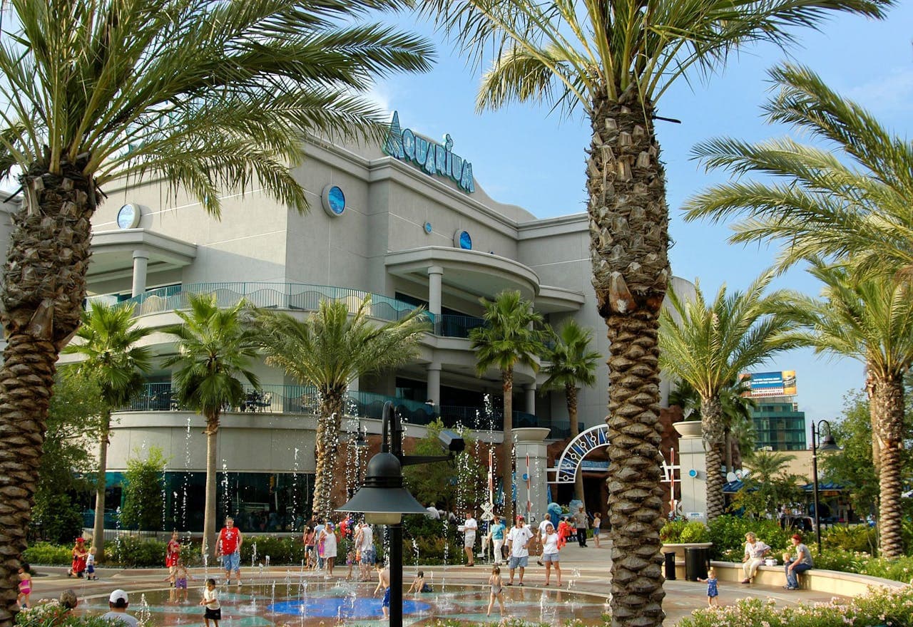 Downtown Aquarium Houston Ticket - تصویر 2