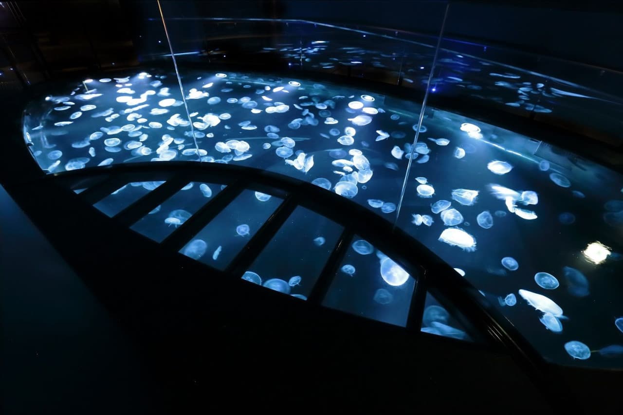 Sumida Aquarium Ticket - تصویر 3