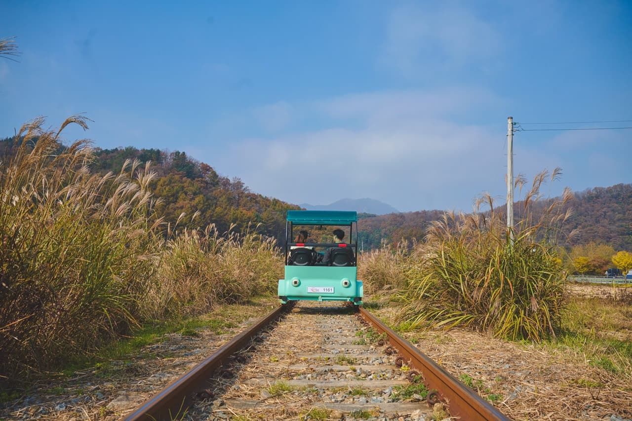 Nami Island, Mount Seorak, and Garden of Morning Calm Full-Day Tour from Seoul - تصویر 9