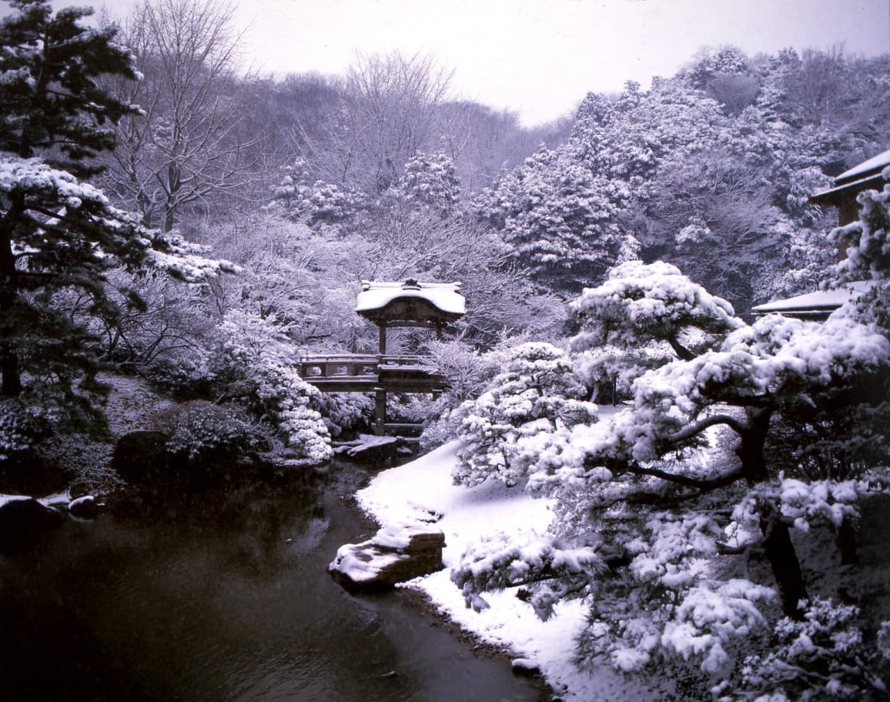 Sankeien Garden Ticket - تصویر 10