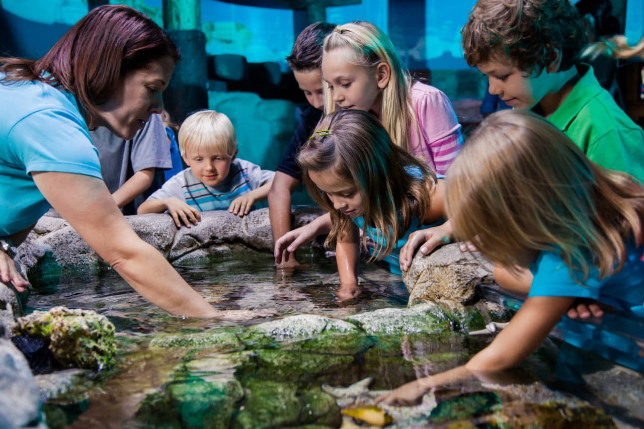 Go City Orlando Explorer Pass: Save up to 50% on Attractions - تصویر 23