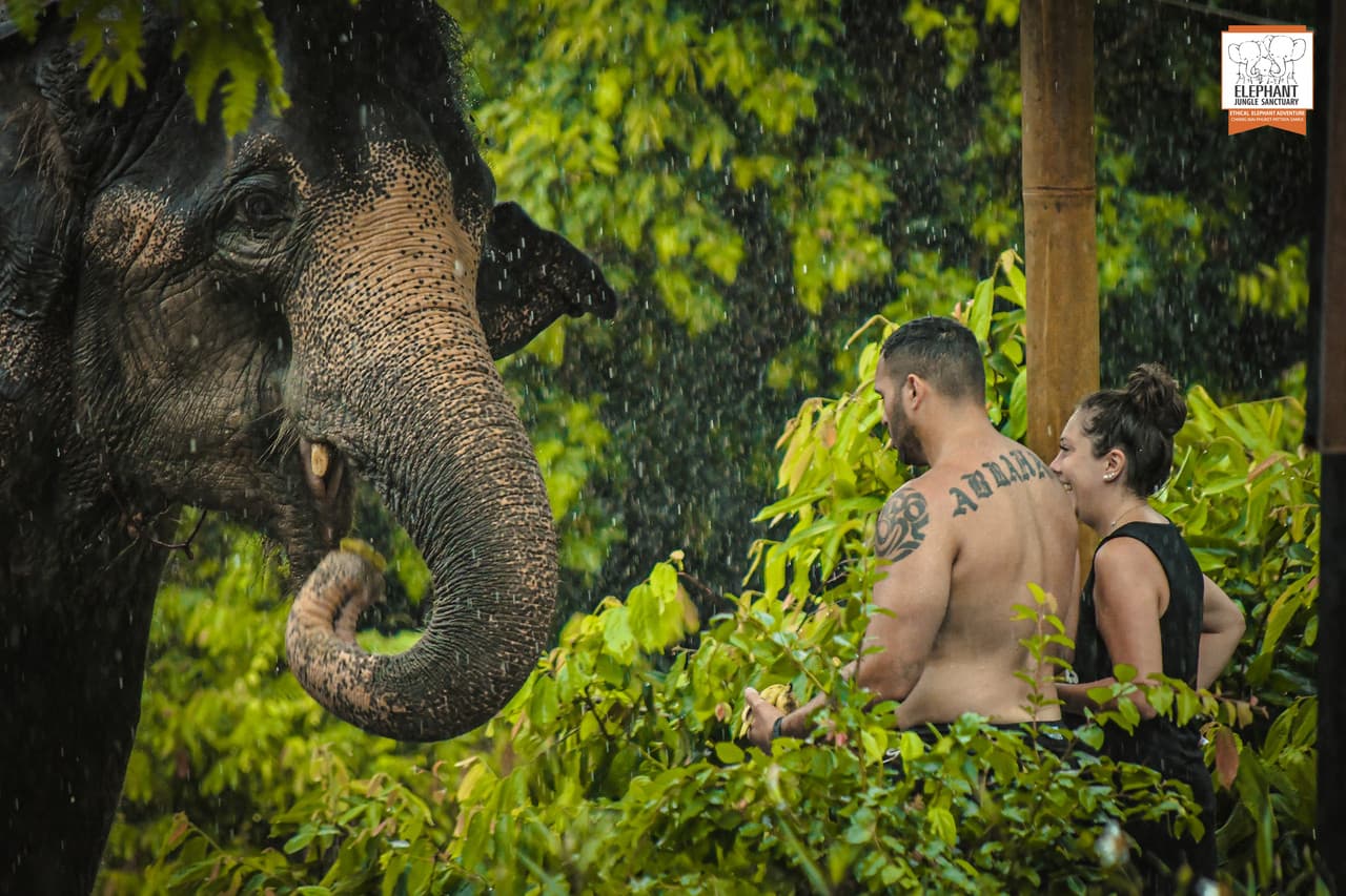 Elephant Jungle Sanctuary Phuket - تصویر 19