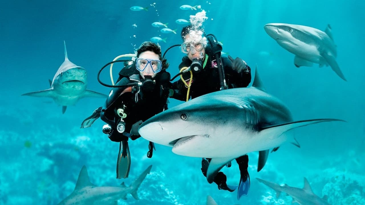Ultimate Marine Life Experience at Adventure Cove Waterpark - تصویر 5