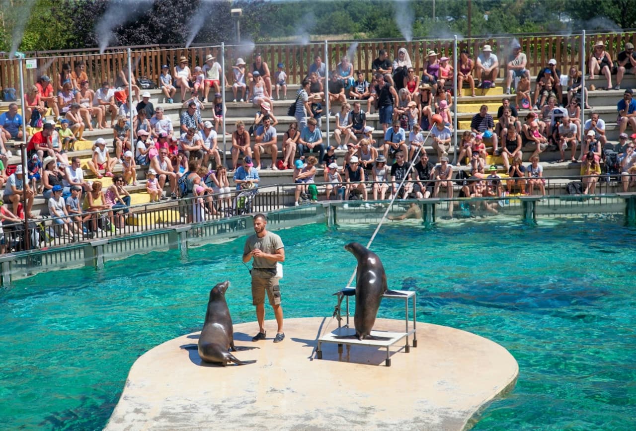 Safari de Peaugres: Entry Ticket - تصویر 6
