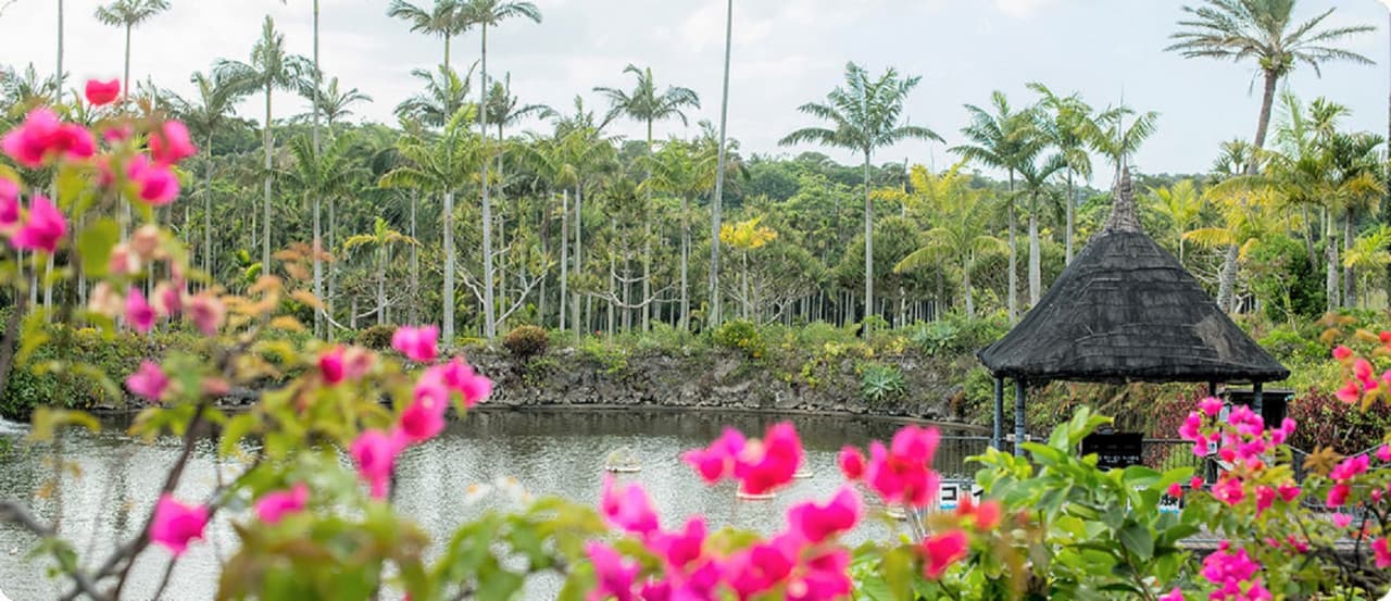 Okinawa Southeast Botanical Gardens - تصویر 13