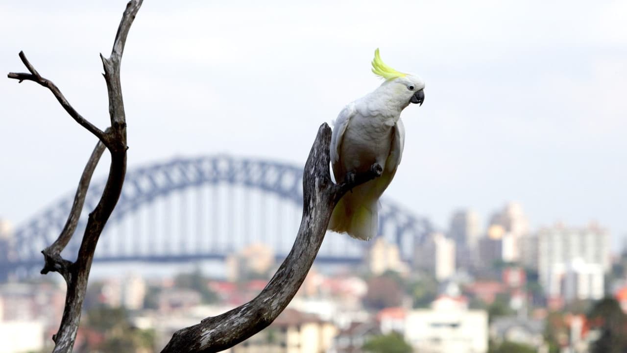 Taronga Zoo Ticket with Optional Round Trip Ferry - تصویر 4