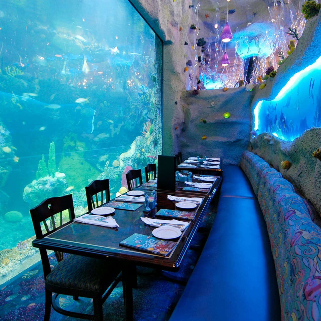 Downtown Aquarium Denver Ticket - تصویر 6
