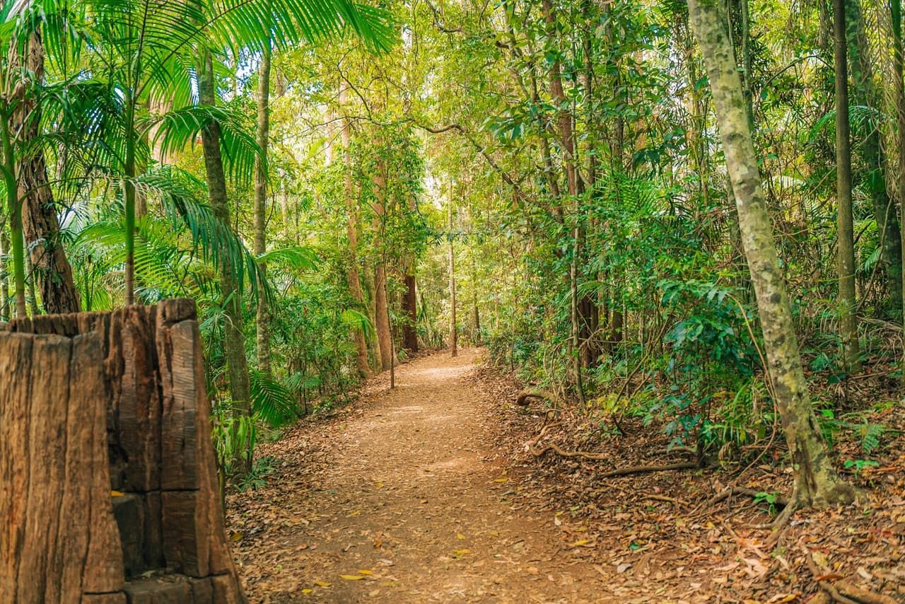 Tamborine Mountain Guided Walk and Wine Tasting Tour - تصویر 9