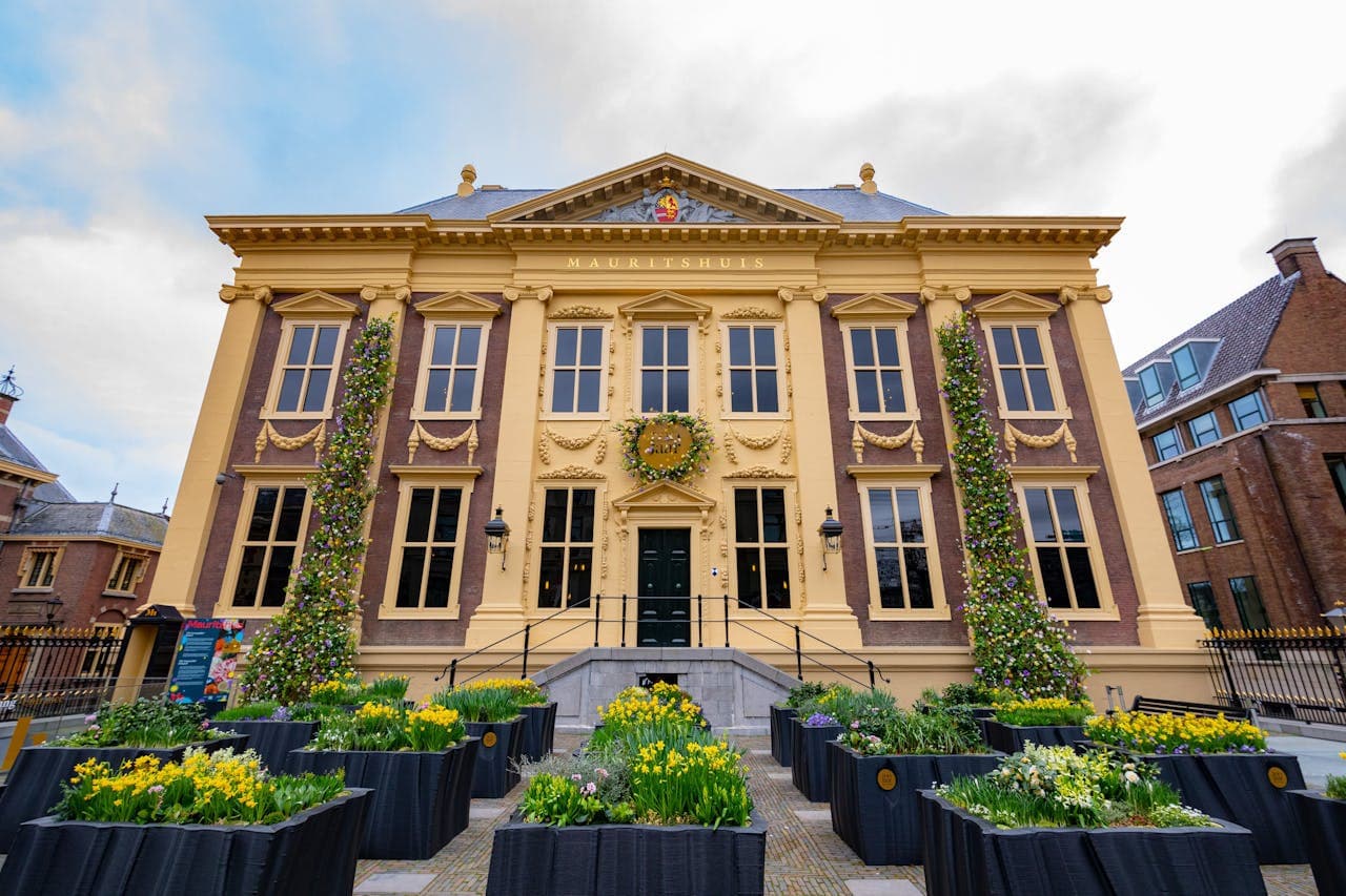 The Mauritshuis Museum Ticket - تصویر 6