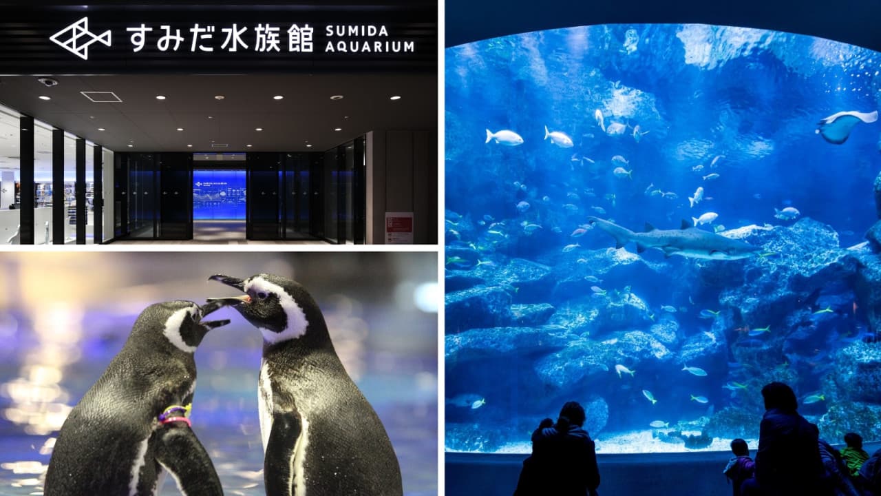 Have Fun in Tokyo Pass - 1 Week Free Pass - تصویر 9