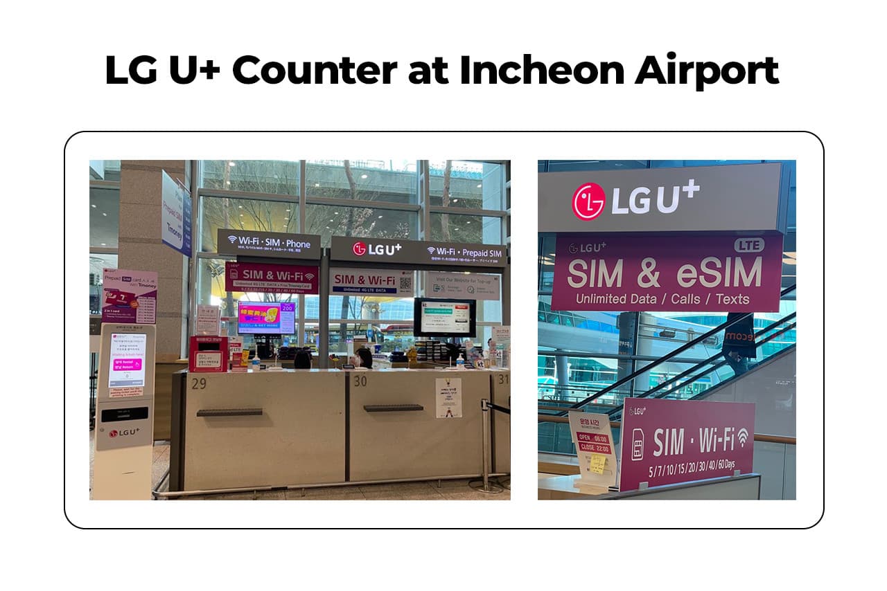 COMBO: AREX Incheon Airport Express Train + Korea SIM Card + Lotte World - تصویر 8