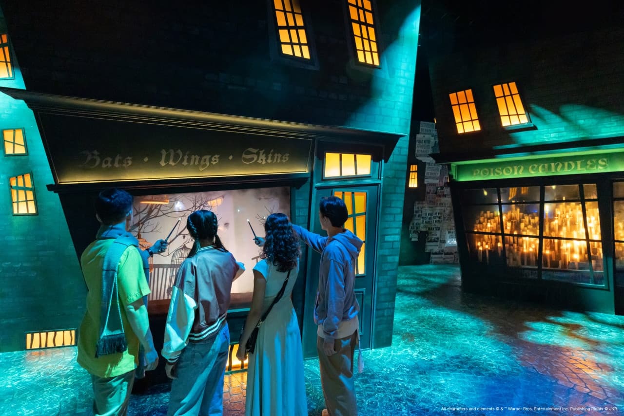 Harry Potter: Visions of Magic - تصویر 9