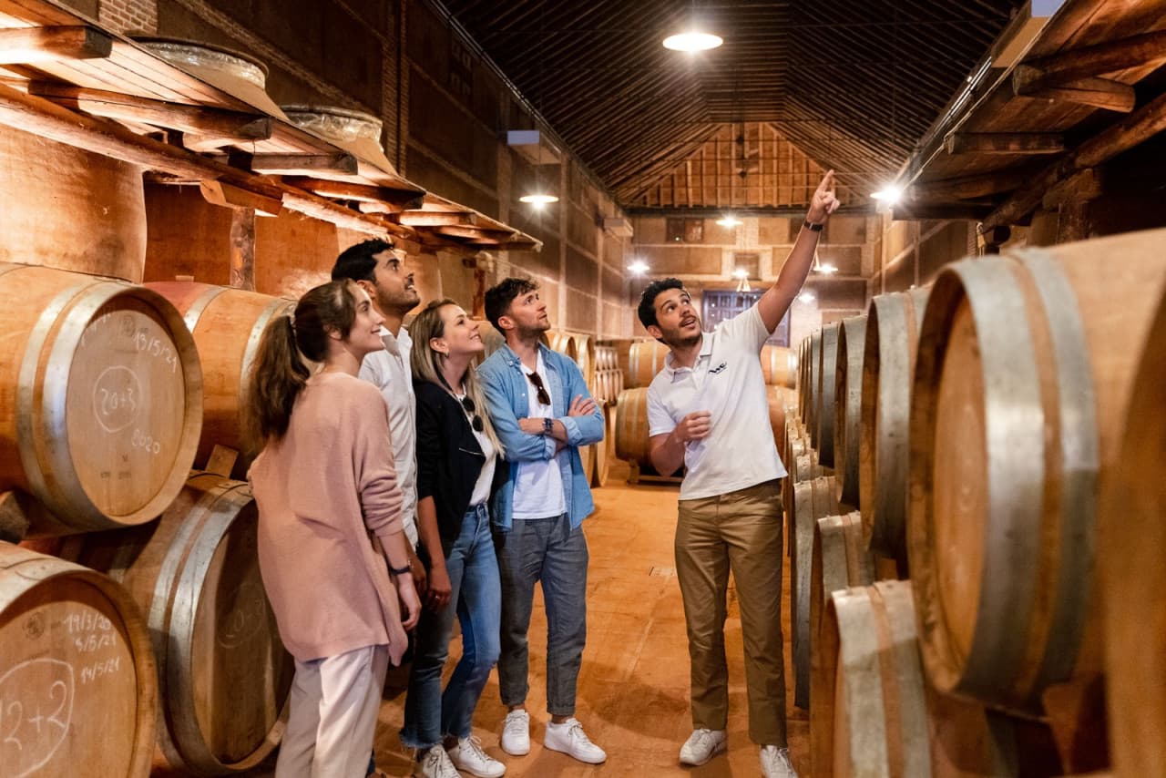 Toledo City Tour from Madrid with Wine Tasting Experience - تصویر 8