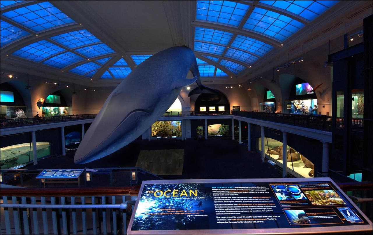 American Museum of Natural History Ticket - تصویر 9