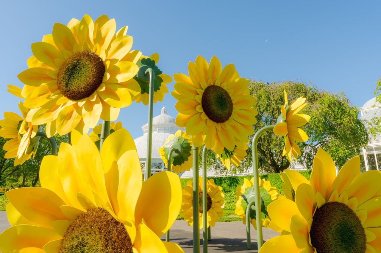 New York Botanical Garden Ticket - تصویر 9