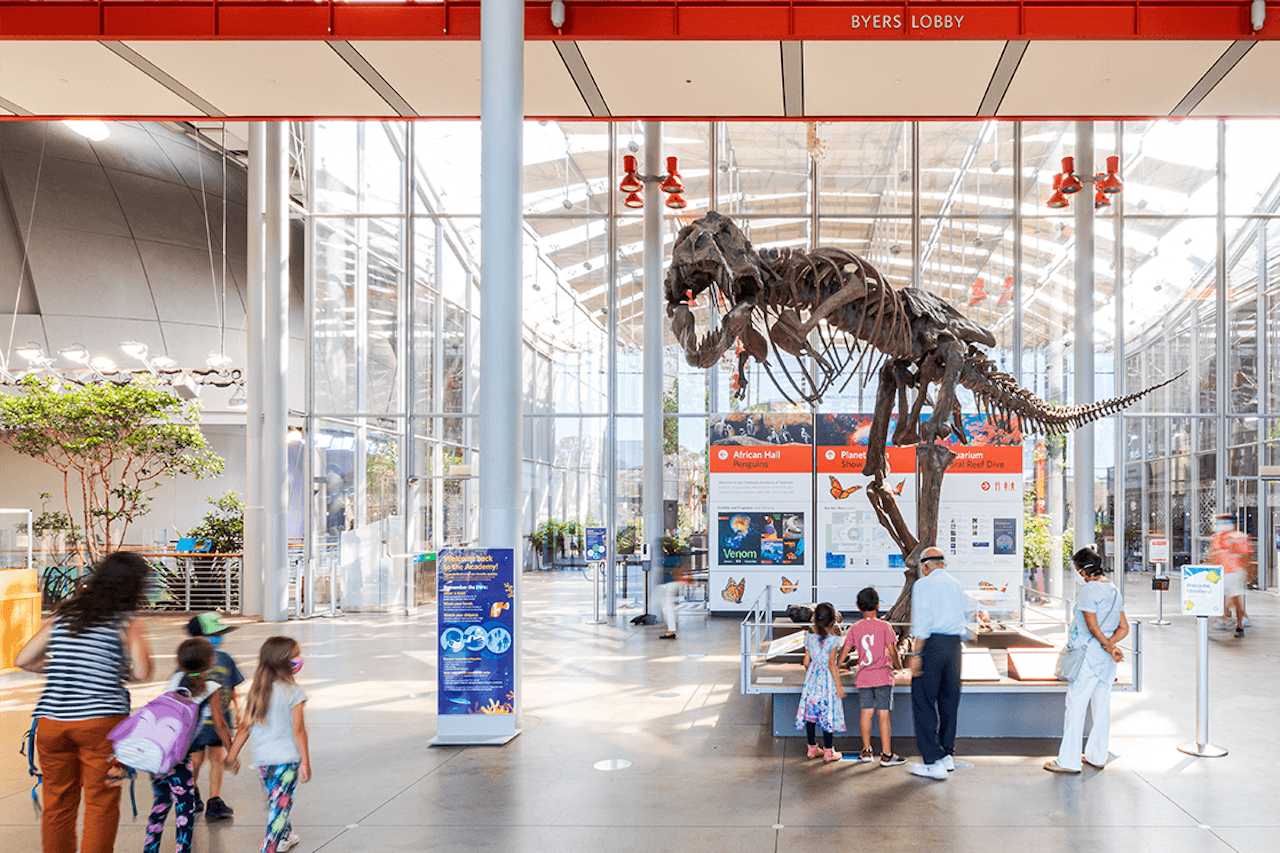 California Academy of Sciences Ticket - تصویر 8