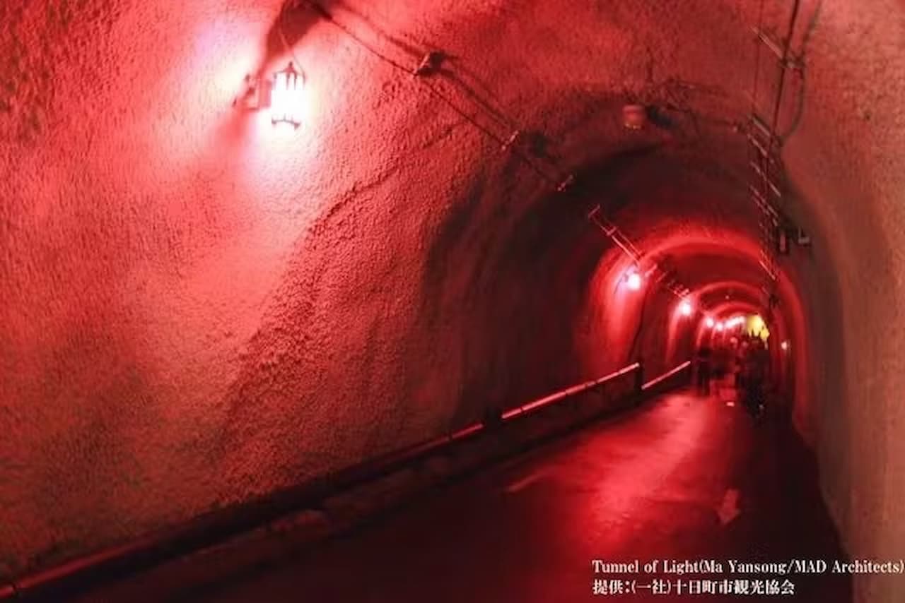 Kiyotsukyo Gorge Tunnel Ticket - تصویر 9