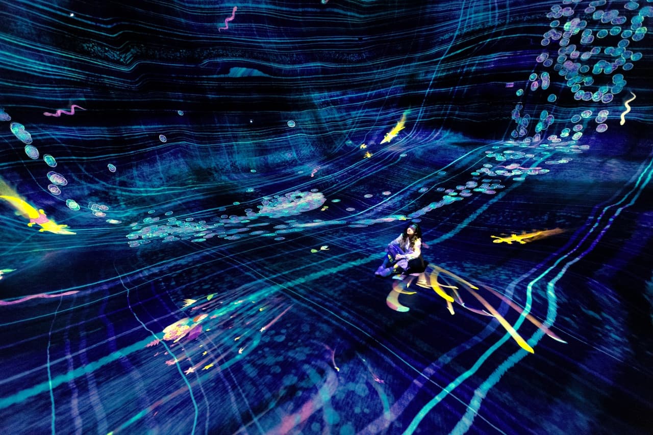 teamLab Phenomena Abu Dhabi Ticket - تصویر 4