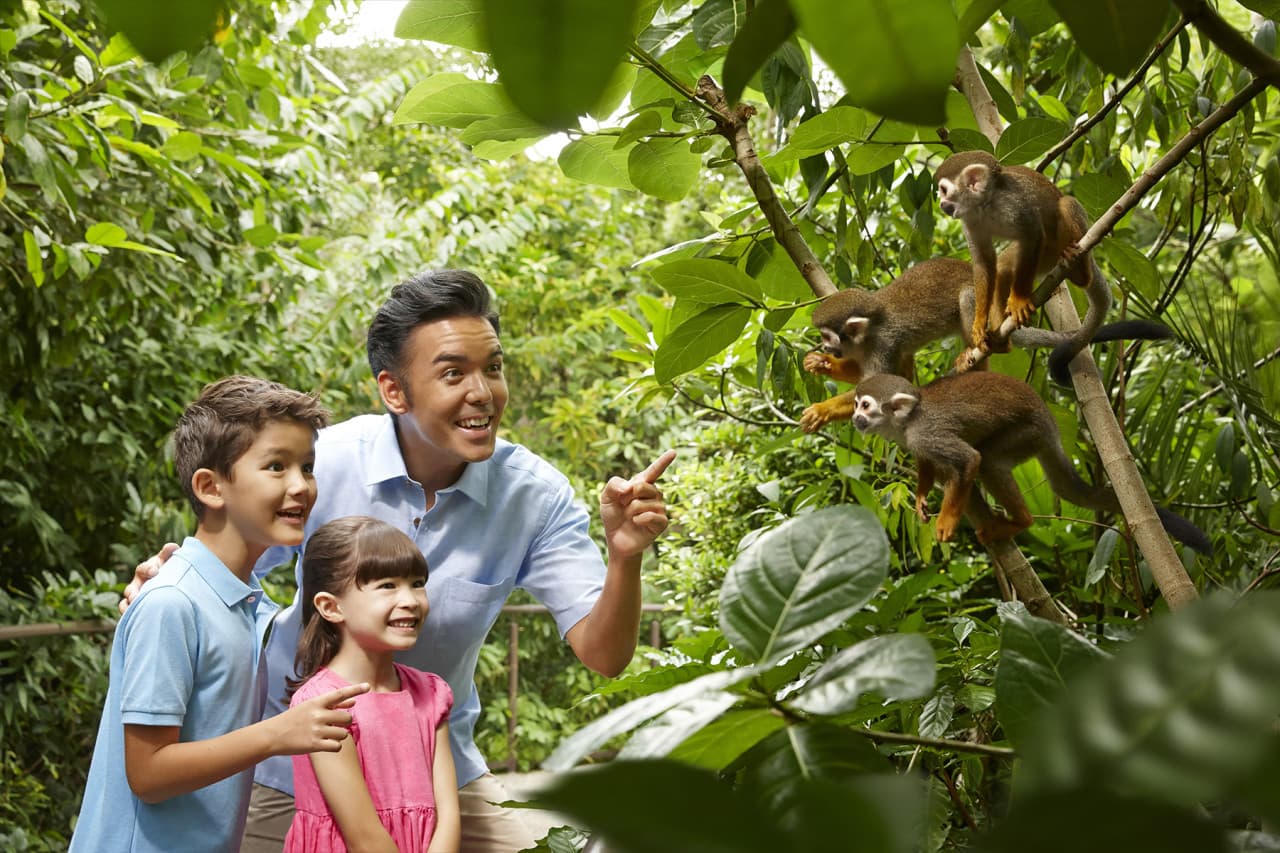 Go City Singapore All-Inclusive Pass: Save up to 50% on Attractions - تصویر 25