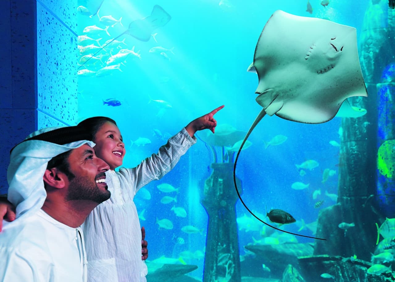 COMBO: IMG Worlds of Adventure with FREE Dubai Frame and Lost World Aquarium - تصویر 3