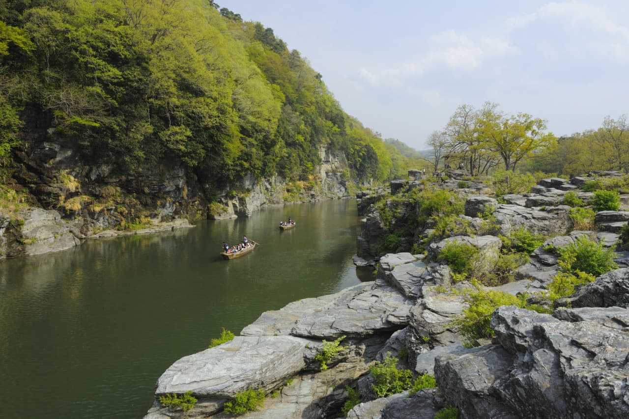 Seibu 1 Day Pass + Nagatoro - تصویر 2